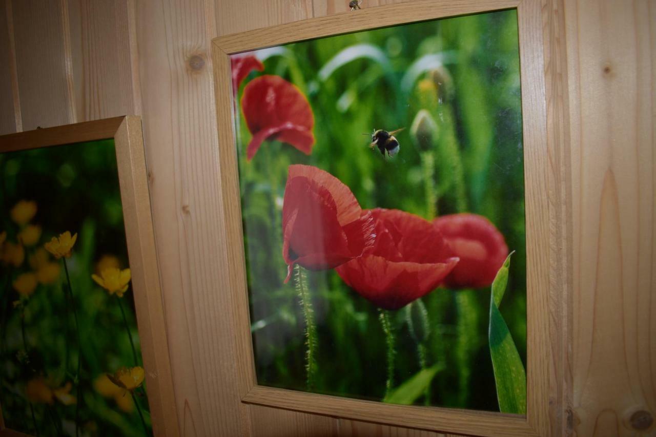 Apartamento U Wajdy Ciche Małe Exterior foto